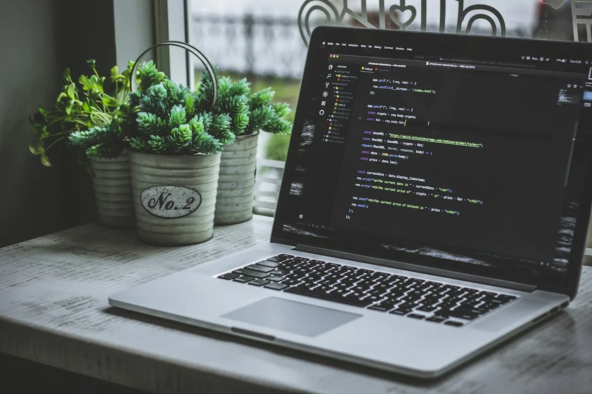 WordPress development and coding